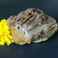 Petrified wood encourages gentle openness to personal transformations as well as being a pleasant reminder to embrace change and/or transformation.