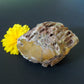 Adorn your home, office, cabin, camper, alter, hearth or collectors case with this unique one of a kind specimen and FEEL the difference. 
