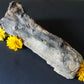 Along with the sheer wonder and beauty, petrified wood has been used in ancient and present day civilizations for stabilizing the body’s defenses, promoting balance and calmness and allowing the body to heal in a relaxed, de-stressed environment. 