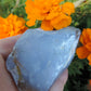 Agate Specimens, Blue Agate Specimens, Madison Blue Agate, Blue Agate, Blue Chalcedony, Rock Specimens, Lapidary Stones, Lapidary Material, Alter Stones, Stones for Decorating, Decorative Stones, Semi-precious Stones, Semi-precious Gemstones, Rock Collector Specimens, Natural Stones, Grounding Stones, Transformational Stones, Calming Stones, Centering Stones, Rare Stone  