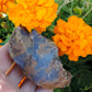 Agate Specimens, Blue Agate Specimens, Madison Blue Agate, Blue Agate, Blue Chalcedony, Rock Specimens, Lapidary Stones, Lapidary Material, Alter Stones, Stones for Decorating, Decorative Stones, Semi-precious Stones, Semi-precious Gemstones, Rock Collector Specimens, Natural Stones, Grounding Stones, Transformational Stones, Calming Stones, Centering Stones, Rare Stone  