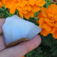 Agate Specimens, Blue Agate Specimens, Madison Blue Agate, Blue Agate, Blue Chalcedony, Rock Specimens, Lapidary Stones, Lapidary Material, Alter Stones, Stones for Decorating, Decorative Stones, Semi-precious Stones, Semi-precious Gemstones, Rock Collector Specimens, Natural Stones, Grounding Stones, Transformational Stones, Calming Stones, Centering Stones, Rare Stone  