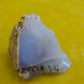 Agate Specimens, Blue Agate Specimens, Madison Blue Agate, Blue Agate, Blue Chalcedony, Rock Specimens, Lapidary Stones, Lapidary Material, Alter Stones, Stones for Decorating, Decorative Stones, Semi-precious Stones, Semi-precious Gemstones, Rock Collector Specimens, Natural Stones, Grounding Stones, Transformational Stones, Calming Stones, Centering Stones, Rare Stone  