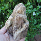 Brought to you from the mountains of Montana, this treasured specimen represents amazing geological transformations and the wondrous beauty of Mother Earth.