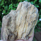 Agatized Wood, Petrified Wood, Mineral Specimens, Rock Specimens, Lapidary Stones, Lapidary Material, Alter Stones, Stones for Decorating, Decorative Stones, Semi-precious Stones, Semi-precious Gemstones, Rock Collector Specimens, Opalized Wood, Natural Stones, Grounding Stones, Transformational Stones, Protective Stones, Centering Stones  