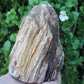 Created millions of years ago, petrified and agatized wood is found around the globe in numerous locations.  The stones’ distinctive appearance is determined by different conditions that include the tree species that was buried, the location and type of geological event that buried the trees, 
