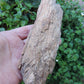 Agatized Wood, Petrified Wood, Mineral Specimens, Rock Specimens, Lapidary Stones, Lapidary Material, Alter Stones, Stones for Decorating, Decorative Stones, Semi-precious Stones, Semi-precious Gemstones, Rock Collector Specimens, Opalized Wood, Natural Stones, Grounding Stones, Transformational Stones, Protective Stones, Centering Stones  