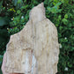 Created millions of years ago, petrified and agatized wood is found around the globe in numerous locations.  The stones’ distinctive appearance is determined by different conditions that include the tree species that was buried, the location and type of geological event that buried the trees, 