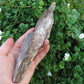 Agatized Wood, Petrified Wood, Mineral Specimens, Rock Specimens, Lapidary Stones, Lapidary Material, Alter Stones, Stones for Decorating, Decorative Stones, Semi-precious Stones, Semi-precious Gemstones, Rock Collector Specimens, Opalized Wood, Natural Stones, Grounding Stones, Transformational Stones, Protective Stones, Centering Stones  