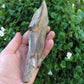Agatized Wood, Petrified Wood, Mineral Specimens, Rock Specimens, Lapidary Stones, Lapidary Material, Alter Stones, Stones for Decorating, Decorative Stones, Semi-precious Stones, Semi-precious Gemstones, Rock Collector Specimens, Opalized Wood, Natural Stones, Grounding Stones, Transformational Stones, Protective Stones, Centering Stones  