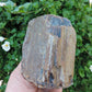 Brought to you from the mountains of Montana, this treasured specimen represents amazing geological transformations and the wondrous beauty of Mother Earth.