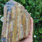 Created millions of years ago, petrified and agatized wood is found around the globe in numerous locations.  The stones’ distinctive appearance is determined by different conditions that include the tree species that was buried, the location and type of geological event that buried the trees, 