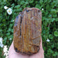 Adorn your home, office, cabin, camper, alter, hearth or collectors case with this unique one of a kind specimen and FEEL the difference. 