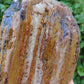 Along with the sheer wonder and beauty, petrified wood has been used in ancient and present day civilizations for stabilizing the body’s defenses, promoting balance and calmness and allowing the body to heal in a relaxed, de-stressed environment. 