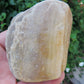 Petrified wood encourages gentle openness to personal transformations as well as being a pleasant reminder to embrace change and/or transformation.