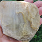 Brought to you from the mountains of Montana, this treasured specimen represents amazing geological transformations and the wondrous beauty of Mother Earth.