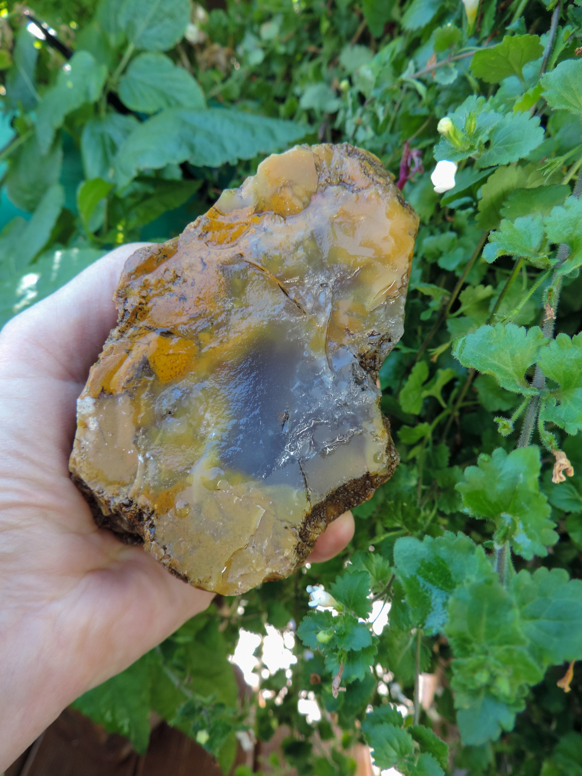 Agate Specimens, Blue Agate Specimens, Madison Blue Agate, Blue Agate, Blue Chalcedony, Rock Specimens, Lapidary Stones, Lapidary Material, Alter Stones, Stones for Decorating, Decorative Stones, Semi-precious Stones, Semi-precious Gemstones, Rock Collector Specimens, Natural Stones, Grounding Stones, Transformational Stones, Calming Stones, Centering Stones, Rare Stone  