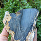 Brought to you from the mountains of Montana, this treasured specimen represents amazing geological transformations and the wondrous beauty of Mother Earth.