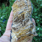 Created millions of years ago, petrified and agatized wood is found around the globe in numerous locations.  The stones’ distinctive appearance is determined by different conditions that include the tree species that was buried, the location and type of geological event that buried the trees,