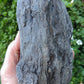 Petrified wood is often viewed as a sacred representation of humankind's connection to the universe because it was once a living object that has gone through a dramatic transformation