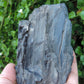 Petrified wood is often viewed as a sacred representation of humankind's connection to the universe because it was once a living object that has gone through a dramatic transformation.