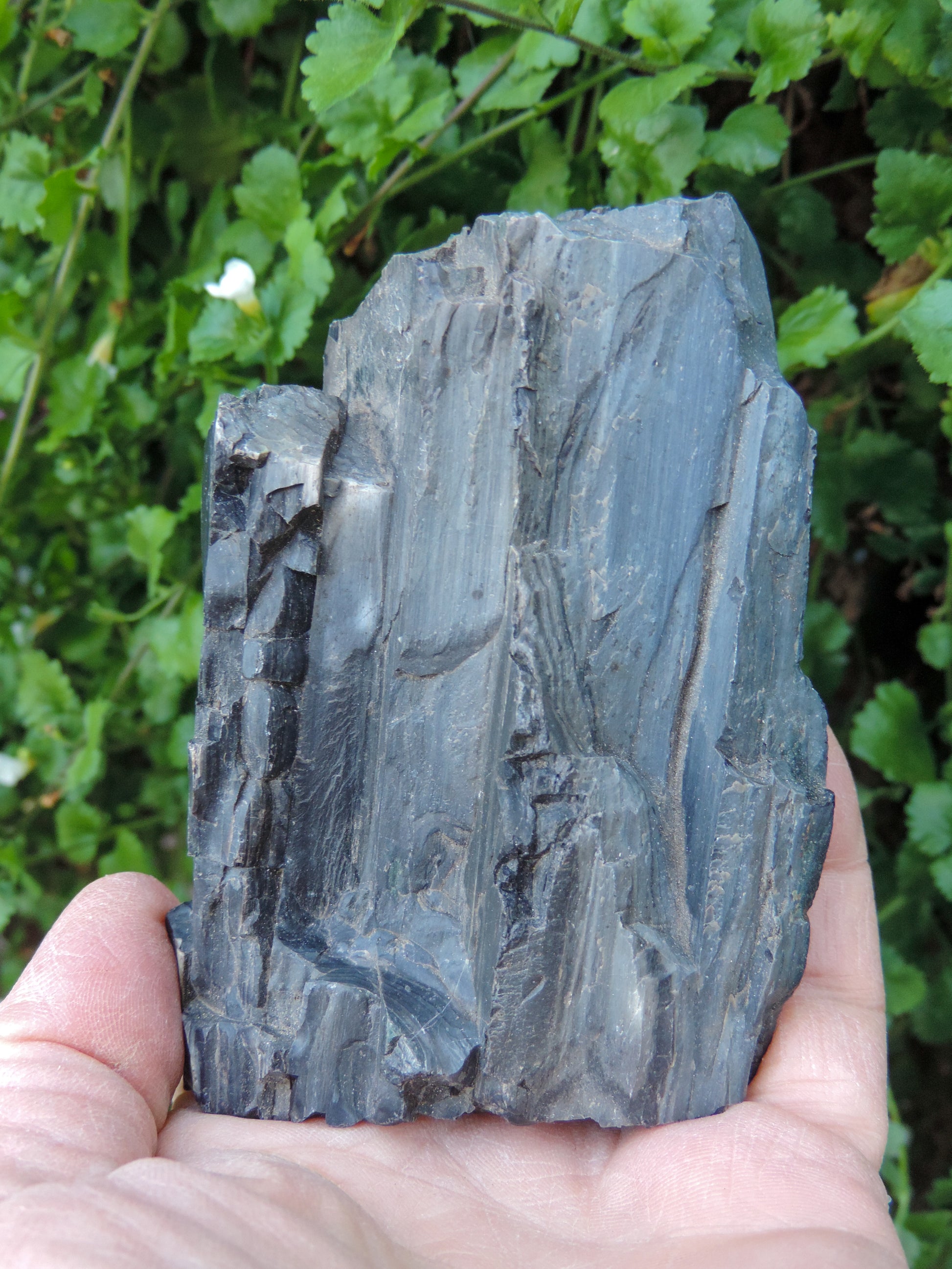 Petrified wood is often viewed as a sacred representation of humankind's connection to the universe because it was once a living object that has gone through a dramatic transformation.