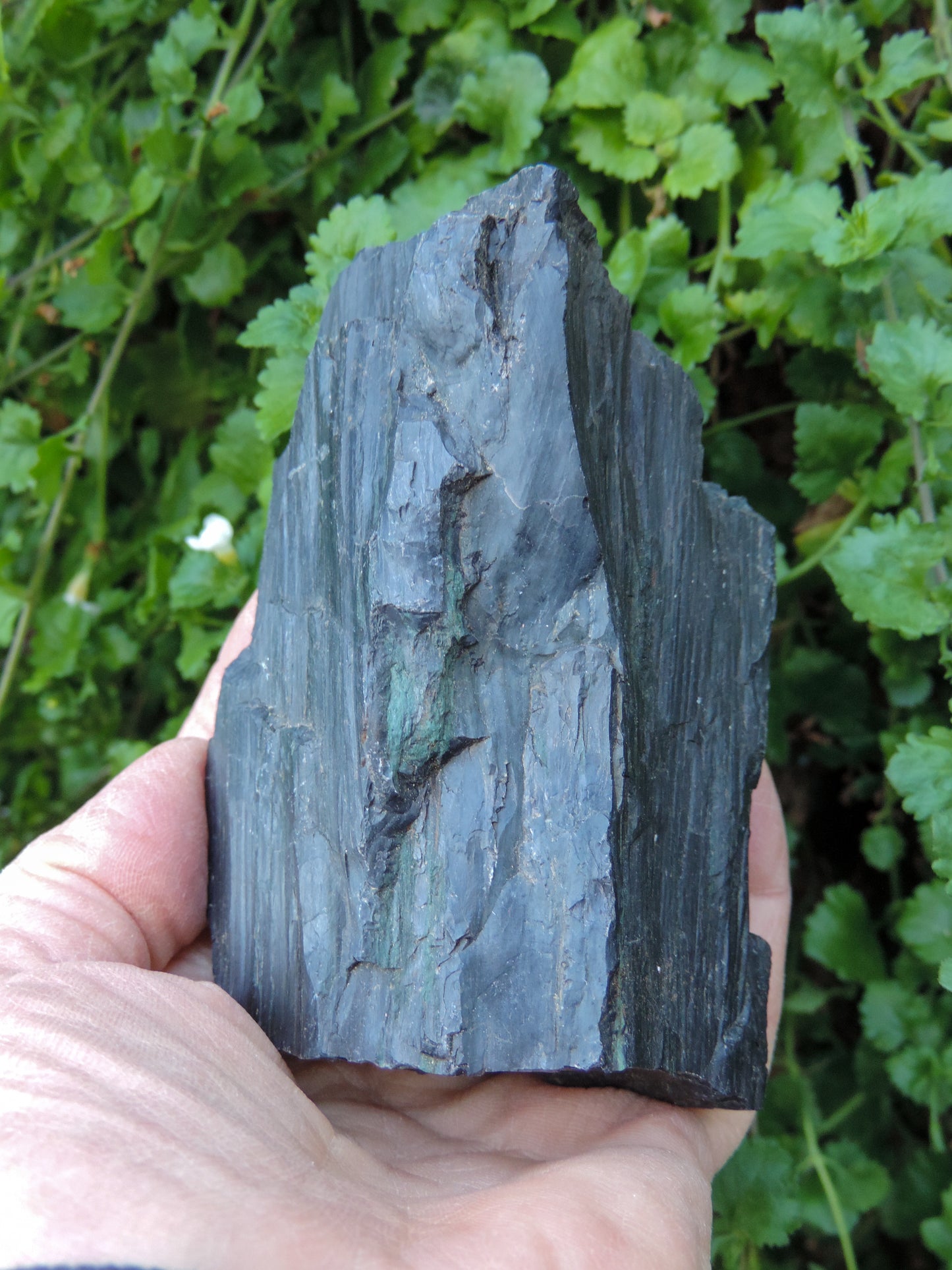 Agatized Wood, Petrified Wood, Mineral Specimens, Rock Specimens, Lapidary Stones, Lapidary Material, Alter Stones, Stones for Decorating, Decorative Stones, Semi-precious Stones, Semi-precious Gemstones, Rock Collector Specimens, Opalized Wood, Natural Stones, Grounding Stones, Transformational Stones, Protective Stones, Centering Stones  