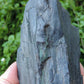 Created millions of years ago, petrified and agatized wood is found around the globe in numerous locations.  The stones’ distinctive appearance is determined by different conditions that include the tree species that was buried, the location and type of geological event that buried the trees, 