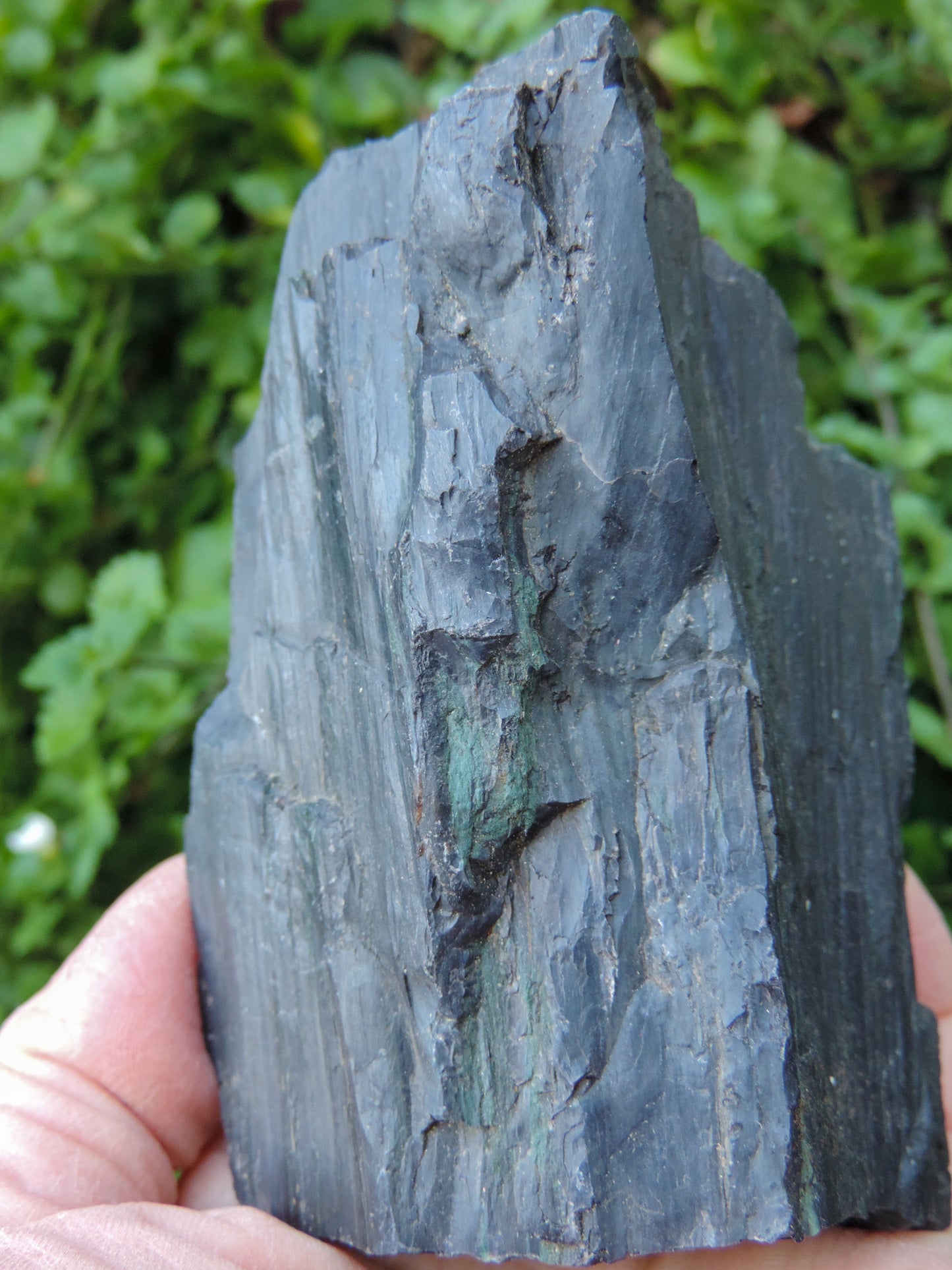 Created millions of years ago, petrified and agatized wood is found around the globe in numerous locations.  The stones’ distinctive appearance is determined by different conditions that include the tree species that was buried, the location and type of geological event that buried the trees, 