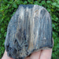 Brought to you from the mountains of Montana, this treasured specimen represents amazing geological transformations and the wondrous beauty of Mother Earth.