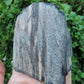Agatized Wood, Petrified Wood, Mineral Specimens, Rock Specimens, Lapidary Stones, Lapidary Material, Alter Stones, Stones for Decorating, Decorative Stones, Semi-precious Stones, Semi-precious Gemstones, Rock Collector Specimens, Opalized Wood, Natural Stones, Grounding Stones, Transformational Stones, Protective Stones, Centering Stones  