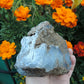Agate Specimens, Blue Agate Specimens, Madison Blue Agate, Blue Agate, Blue Chalcedony, Rock Specimens, Lapidary Stones, Lapidary Material, Alter Stones, Stones for Decorating, Decorative Stones, Semi-precious Stones, Semi-precious Gemstones, Rock Collector Specimens, Natural Stones, Grounding Stones, Transformational Stones, Calming Stones, Centering Stones, Rare Stone  