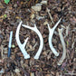 Montana Naturally Shed Bulk grade AAA Antlers