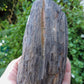 Brought to you from the mountains of Montana, this treasured specimen represents amazing geological transformations and the wondrous beauty of Mother Earth.