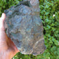Petrified wood is often viewed as a sacred representation of humankind's connection to the universe because it was once a living object that has gone through a dramatic transformation.
