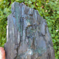 Agatized Wood, Petrified Wood, Mineral Specimens, Rock Specimens, Lapidary Stones, Lapidary Material, Alter Stones, Stones for Decorating, Decorative Stones, Semi-precious Stones, Semi-precious Gemstones, Rock Collector Specimens, Opalized Wood, Natural Stones, Grounding Stones, Transformational Stones, Protective Stones, Centering Stones  