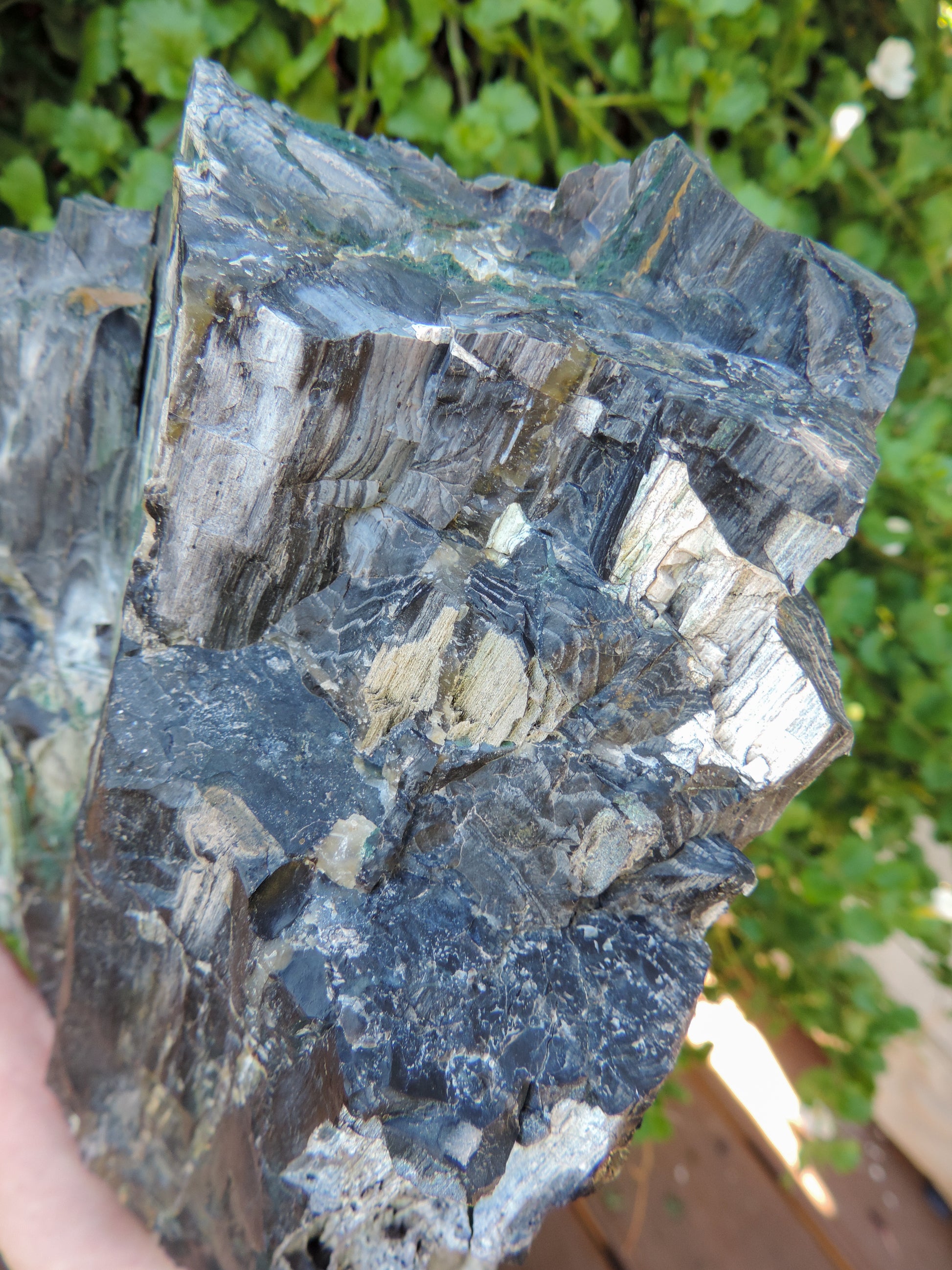 Agatized Wood, Petrified Wood, Mineral Specimens, Rock Specimens, Lapidary Stones, Lapidary Material, Alter Stones, Stones for Decorating, Decorative Stones, Semi-precious Stones, Semi-precious Gemstones, Rock Collector Specimens, Opalized Wood, Natural Stones, Grounding Stones, Transformational Stones, Protective Stones, Centering Stones  