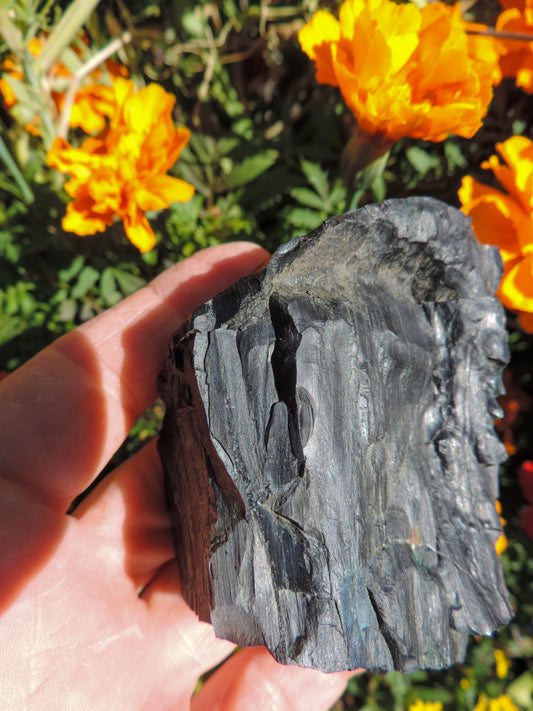 Petrified wood is often viewed as a sacred representation of humankind's connection to the universe because it was once a living object that has gone through a dramatic transformation.