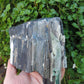 Created millions of years ago, petrified and agatized wood is found around the globe in numerous locations.  The stones’ distinctive appearance is determined by different conditions that include the tree species that was buried