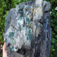 Petrified wood is often viewed as a sacred representation of humankind's connection to the universe because it was once a living object that has gone through a dramatic transformation.
