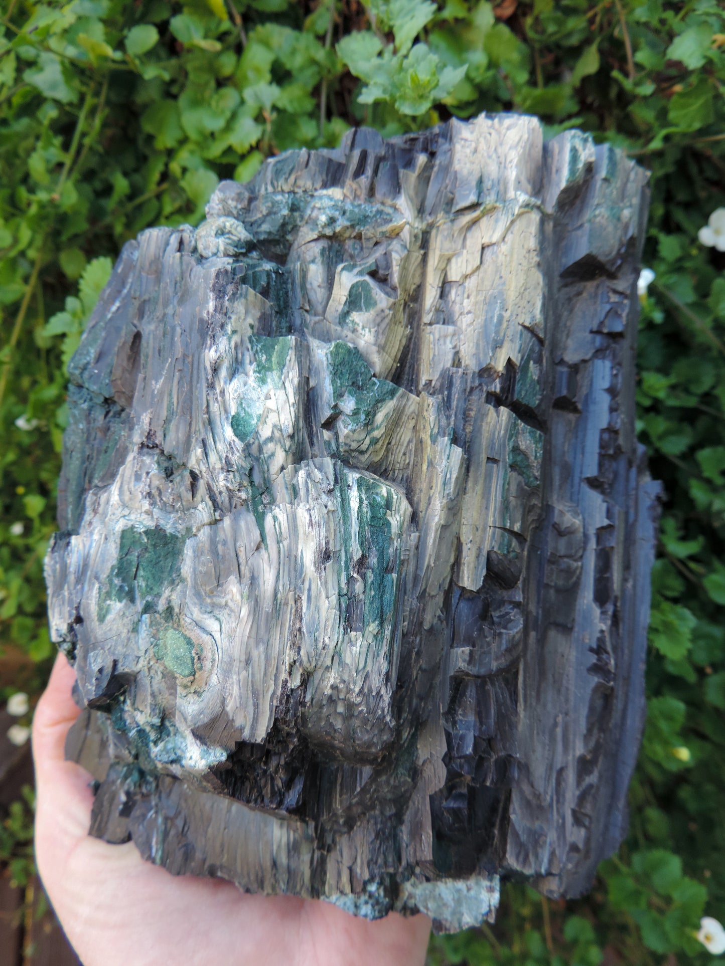 Petrified wood is often viewed as a sacred representation of humankind's connection to the universe because it was once a living object that has gone through a dramatic transformation.