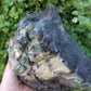 Created millions of years ago, petrified and agatized wood is found around the globe in numerous locations.  The stones’ distinctive appearance is determined by different conditions that include the tree species that was buried, the location and type of geological event that buried the trees