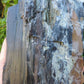 Agatized Wood, Petrified Wood, Mineral Specimens, Rock Specimens, Lapidary Stones, Lapidary Material, Alter Stones, Stones for Decorating, Decorative Stones, Semi-precious Stones, Semi-precious Gemstones, Rock Collector Specimens, Opalized Wood, Natural Stones, Grounding Stones, Transformational Stones, Protective Stones, Centering Stones  