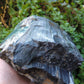 Created millions of years ago, petrified and agatized wood is found around the globe in numerous locations.  The stones’ distinctive appearance is determined by different conditions that include the tree species that was buried, the location and type of geological event that buried the trees,