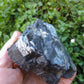 Created millions of years ago, petrified and agatized wood is found around the globe in numerous locations.  The stones’ distinctive appearance is determined by different conditions that include the tree species that was buried, the location and type of geological event that buried the trees,