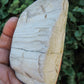 Brought to you from the mountains of Montana, this treasured specimen represents amazing geological transformations and the wondrous beauty of Mother Earth.
