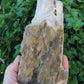 Along with the sheer wonder and beauty, petrified wood has been used in ancient and present day civilizations for stabilizing the body’s defenses, promoting balance and calmness and allowing the body to heal in a relaxed, de-stressed environment