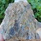 Petrified wood encourages gentle openness to personal transformations as well as being a pleasant reminder to embrace change and/or transformation.