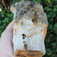Brought to you from the mountains of Montana, this treasured specimen represents amazing geological transformations and the wondrous beauty of Mother Earth.
