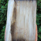 Along with the sheer wonder and beauty, petrified wood has been used in ancient and present day civilizations for stabilizing the body’s defenses, promoting balance and calmness and allowing the body to heal in a relaxed, de-stressed environment. 